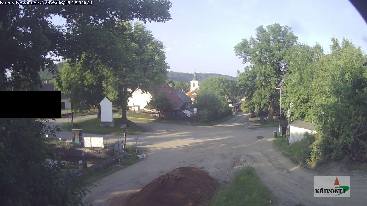 nezabudice1