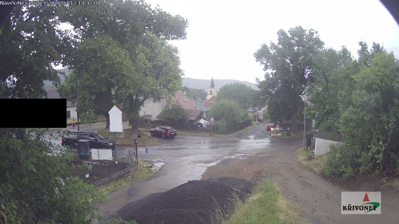 nezabudice1