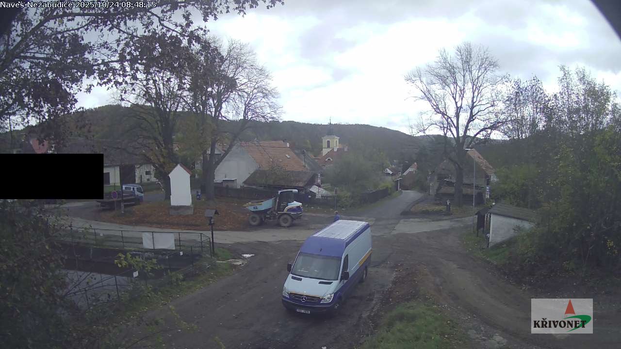 nezabudice1